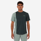 Verde alerce