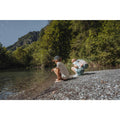 IMG_8872649_10