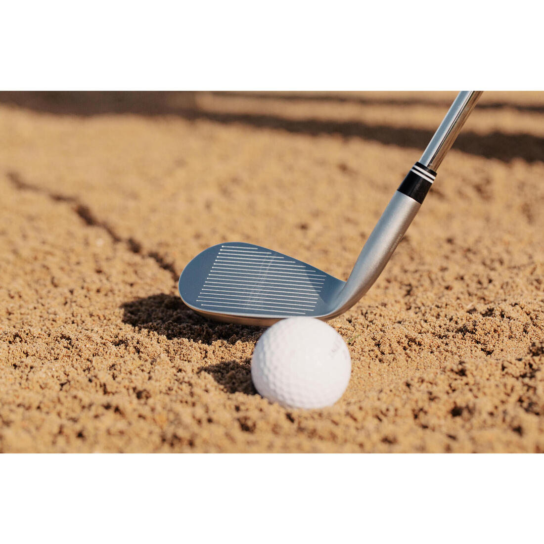 IMG_8810467_9