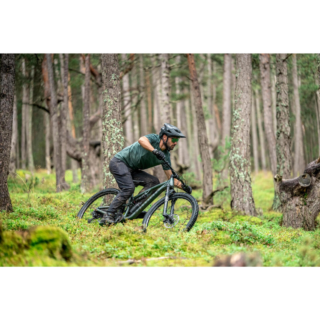 IMG_8646536_9
