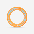 Calabaza pastel fluorescente