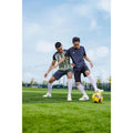 IMG_8966821_36