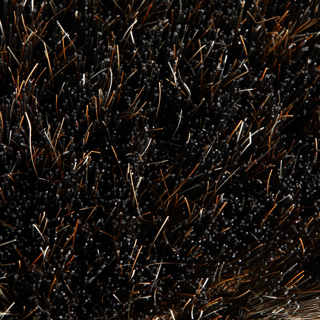 IMG_8581310_2