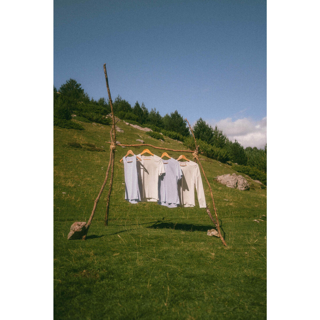 IMG_8902858_6