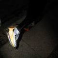 IMG_2927469