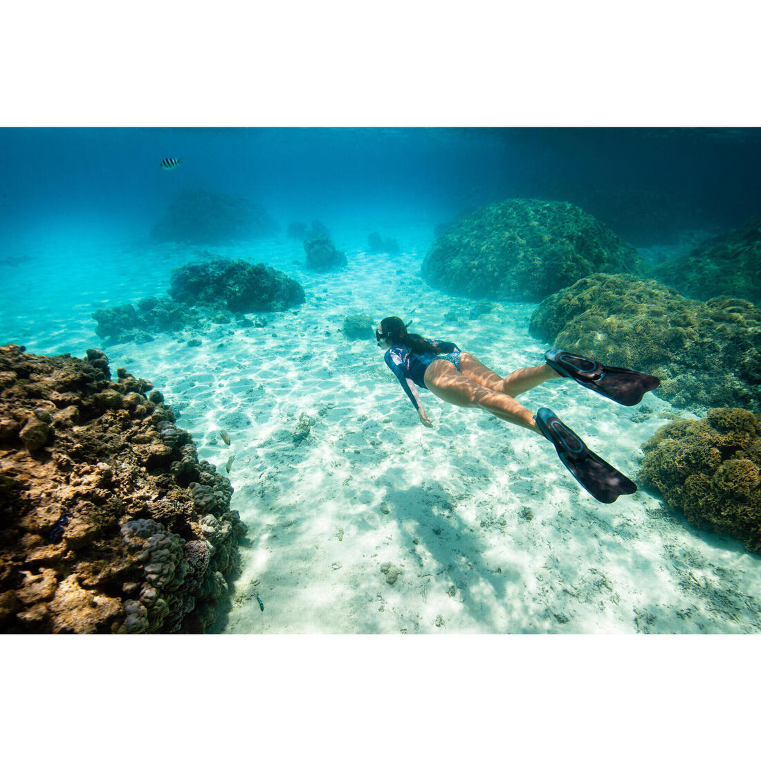 IMG_8784634_2