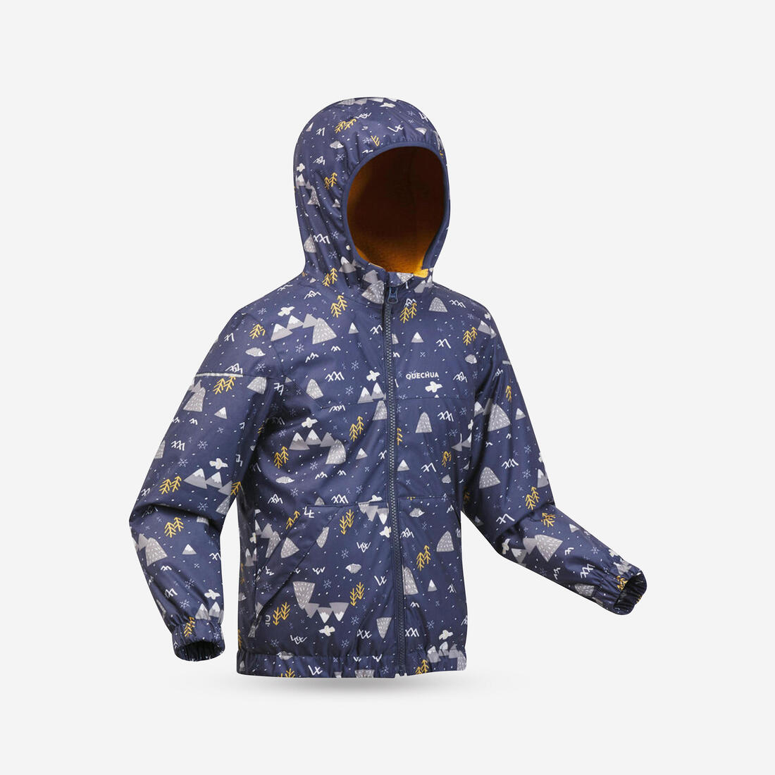 IMG_8543938_1
