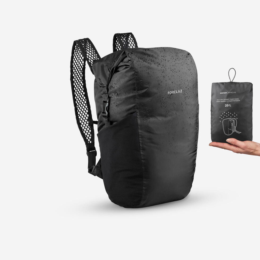 IMG_8560418_1